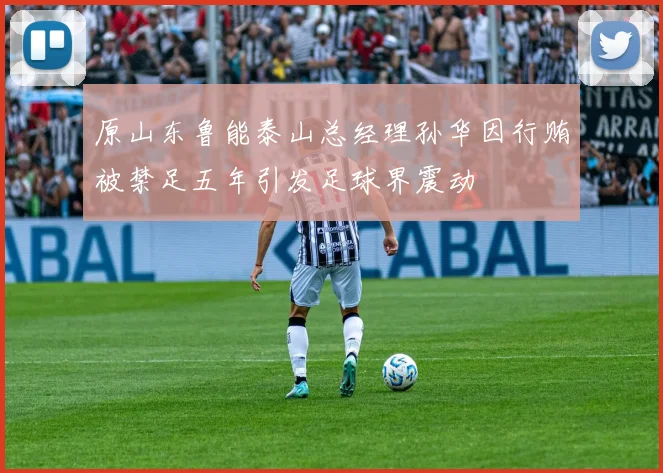原山东鲁能泰山总经理孙华因行贿被禁足五年引发足球界震动